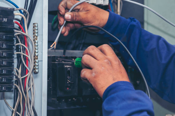 Best Electric Panel Repair  in Fabrica, TX