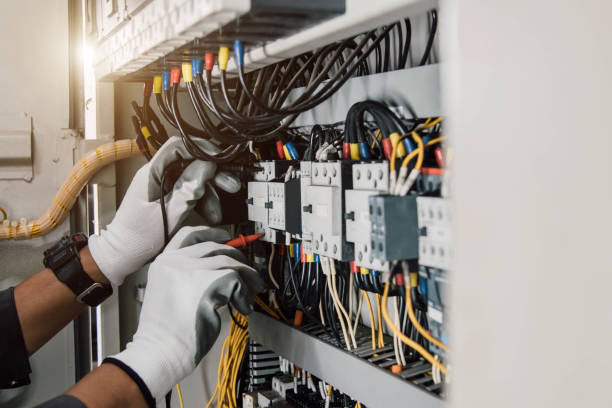 Best Electric Panel Repair  in Fabrica, TX